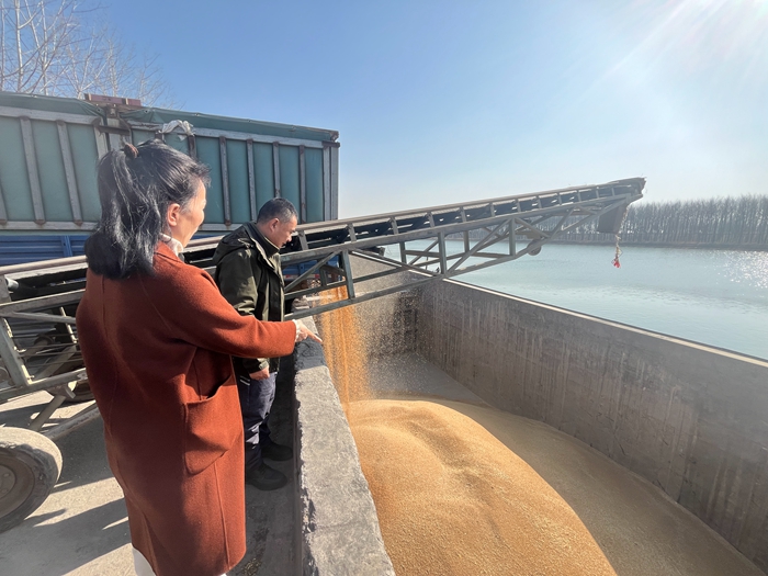 “黨建領(lǐng)航，守護(hù)糧安”淮糧集團(tuán)開展特色品牌黨建活動(dòng)